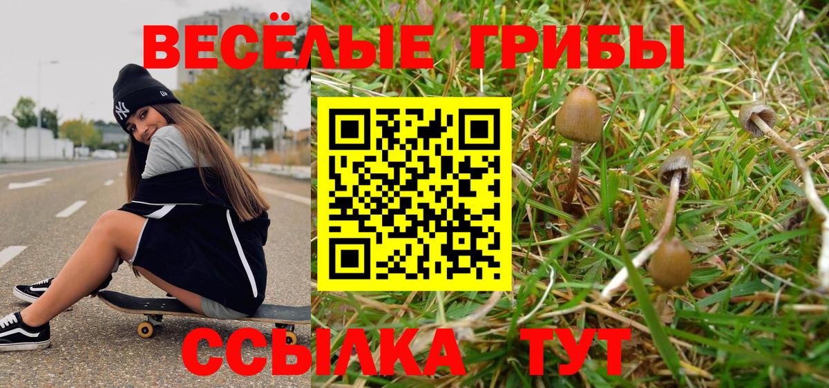 Псилоцибиновые грибы прущие грибы Артёмовский