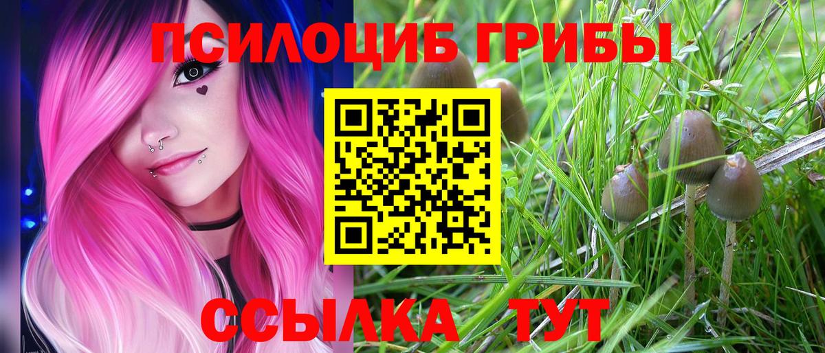Артёмовский  Галлюциногенные грибы Psilocybine cubensis  Вход с VPN 